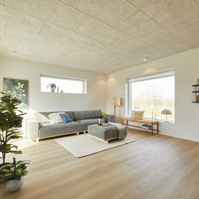 Sag16047 Stue Sansevindue