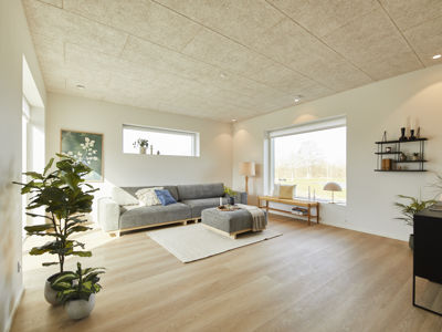 Sag16047 Stue Sansevindue