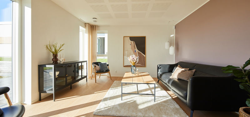 Opholdsrum fra eurodan-huse med sort sofa langs farvet væg, lyst tæppe, træbord, sort vitrineskab, loungestol ved vinduet, stor plante og brede vinduespartier med dagslys – inspiration til stueindretning i nybyggeri og husdrømme.