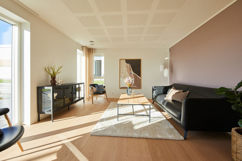 Opholdsrum fra eurodan-huse med sort sofa langs farvet væg, lyst tæppe, træbord, sort vitrineskab, loungestol ved vinduet, stor plante og brede vinduespartier med dagslys – inspiration til stueindretning i nybyggeri og husdrømme.