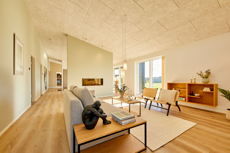 Lys stue fra eurodan-huse med grå sofa, sort sidebord med dekoration, lavt sofabord, flettet loungestol, åben træreol, store vinduer og væg med indbygget pejseindsats – inspiration til nybyggeri, husbyggeri og moderne husdrømme.