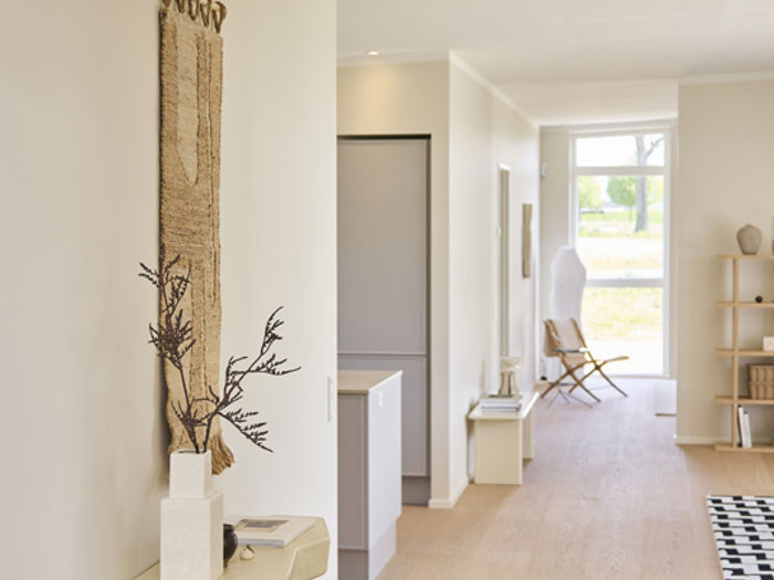 16501 Look Through 02