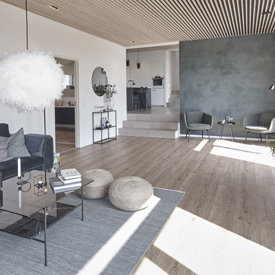 Hinnerup Skellet 6 S1