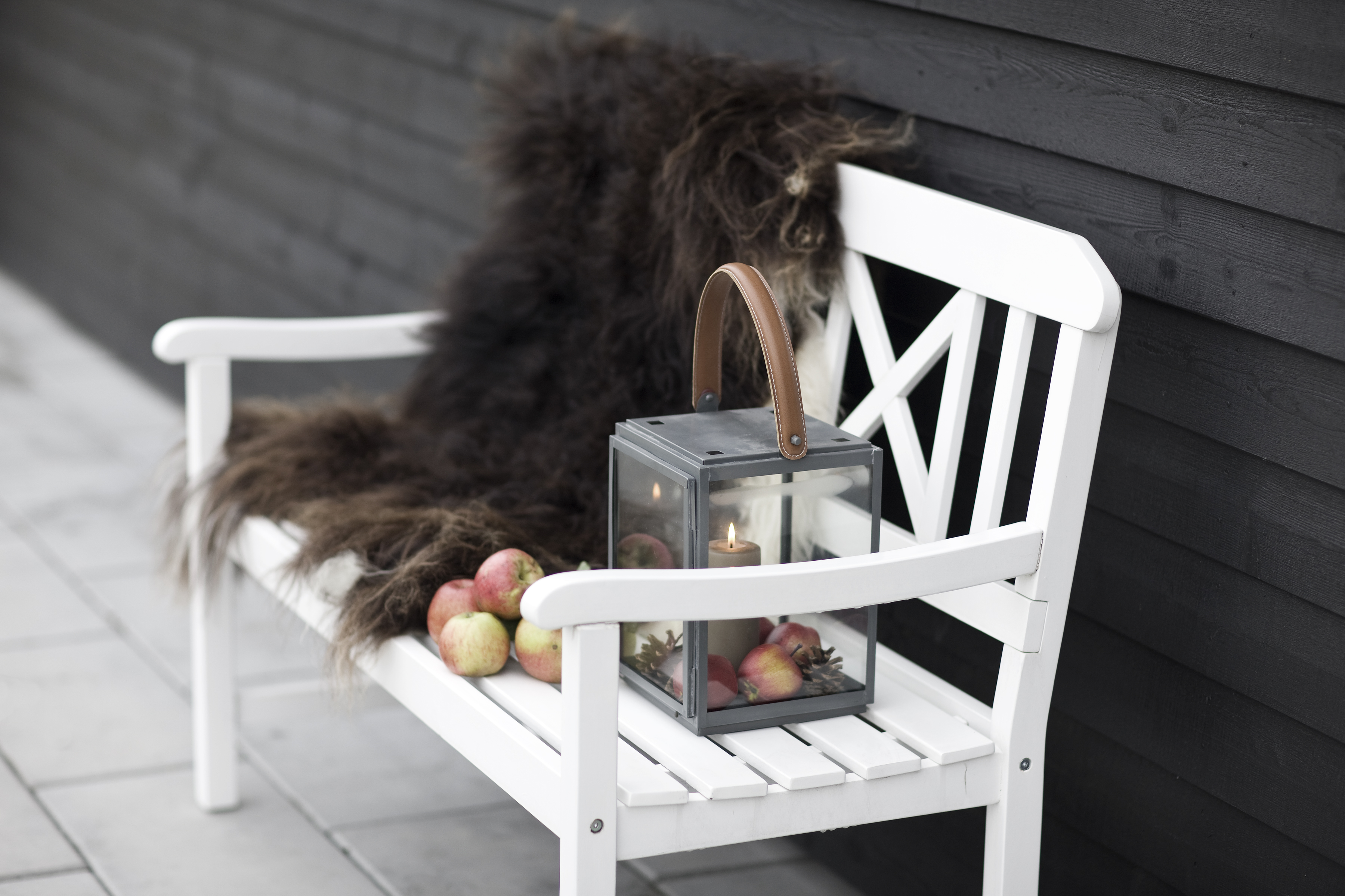 TOF8797 Dæmpet (1)