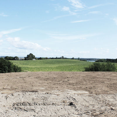 Rivnedogbygnyt Dæmpet